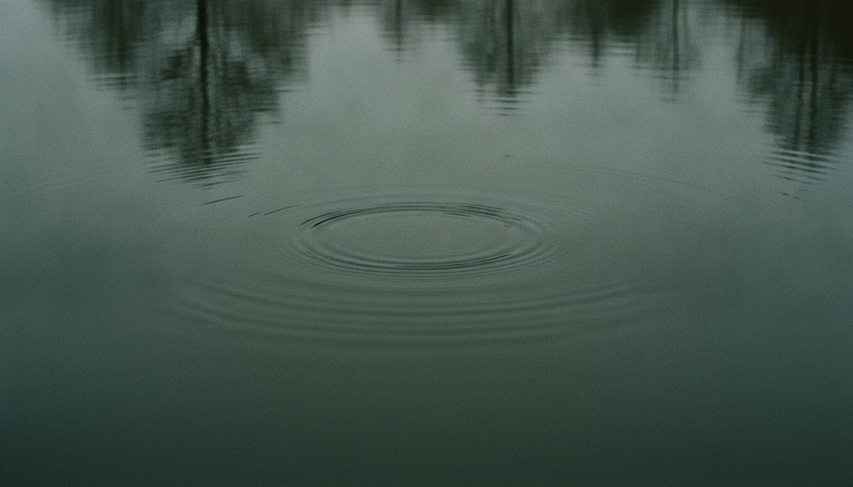 Stimmungsbild: stille Wasserspiegelung in einer Gräfte am Niederrhein (illustrativ).
